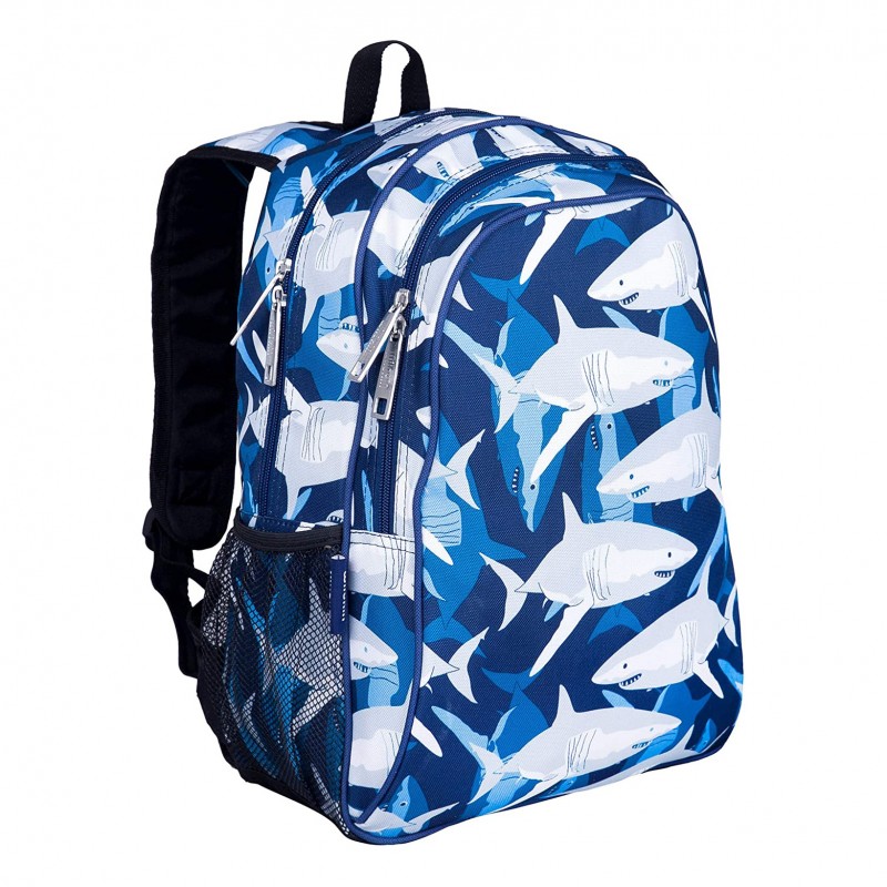 15 Inch Kids Backpack for Boys & Girls